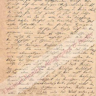 Frick, Ida (verh. Krempe), Schriftstellerin (1808-1893). Frick, Ida (verh. Krempe), Schriftstellerin (1808-1893).