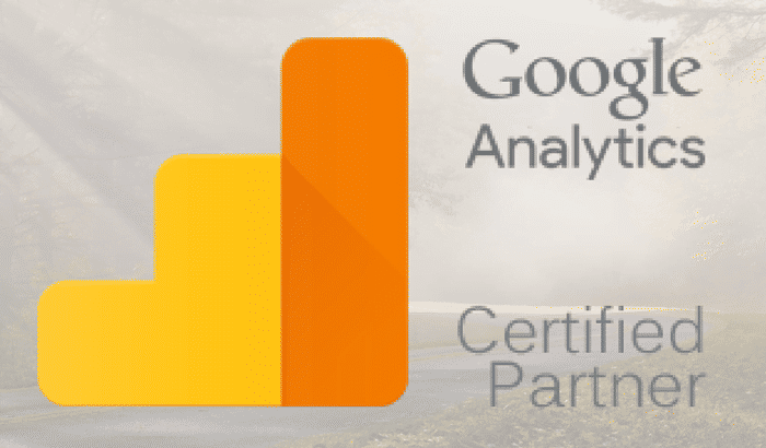 Consultoria de Google Analytics