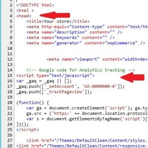 Codigo Google Analytics No Website