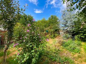 Immobilienbild