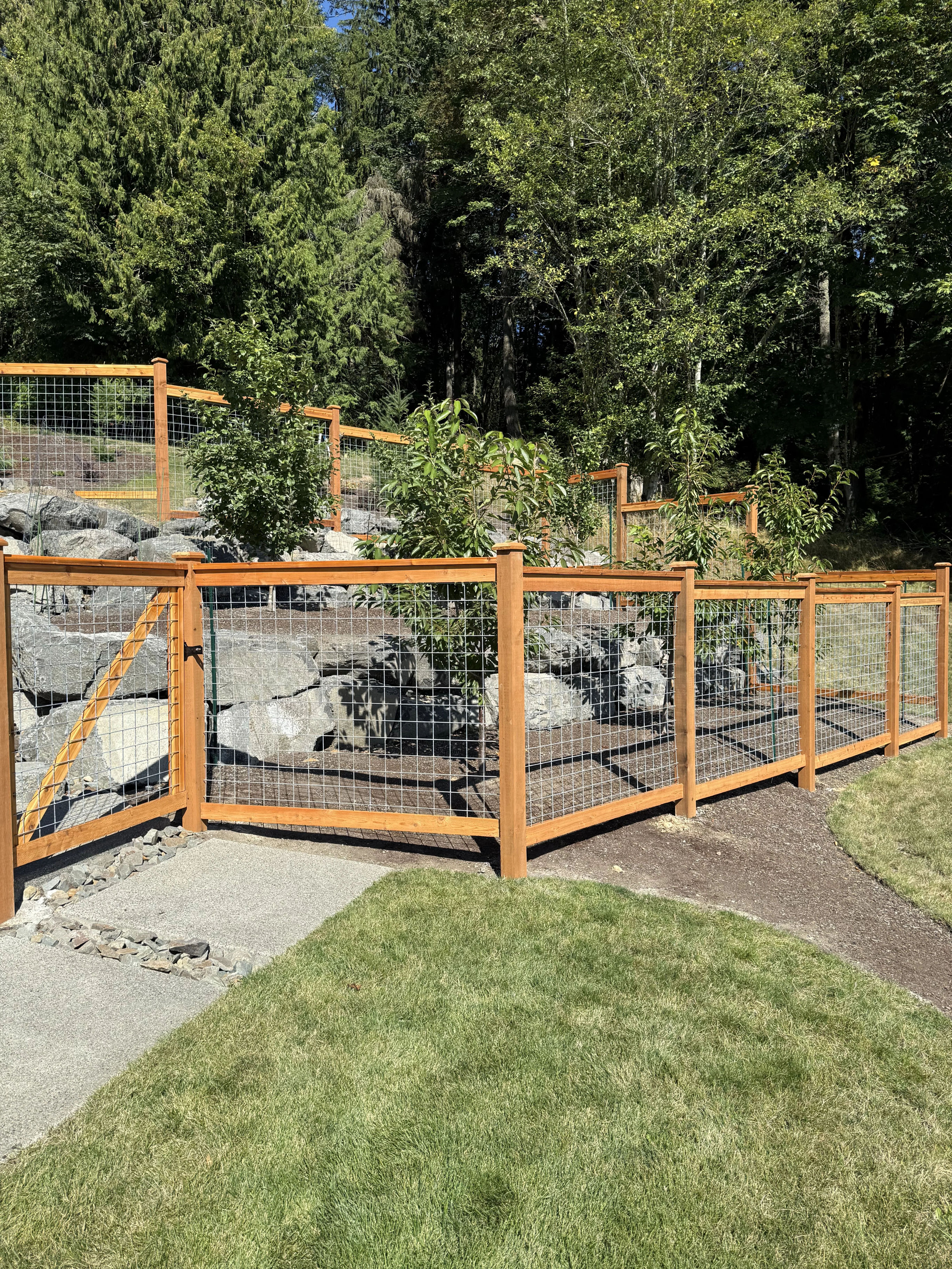 5' Galvanized Hogwire Fence installed in residential backyard with cedar frame