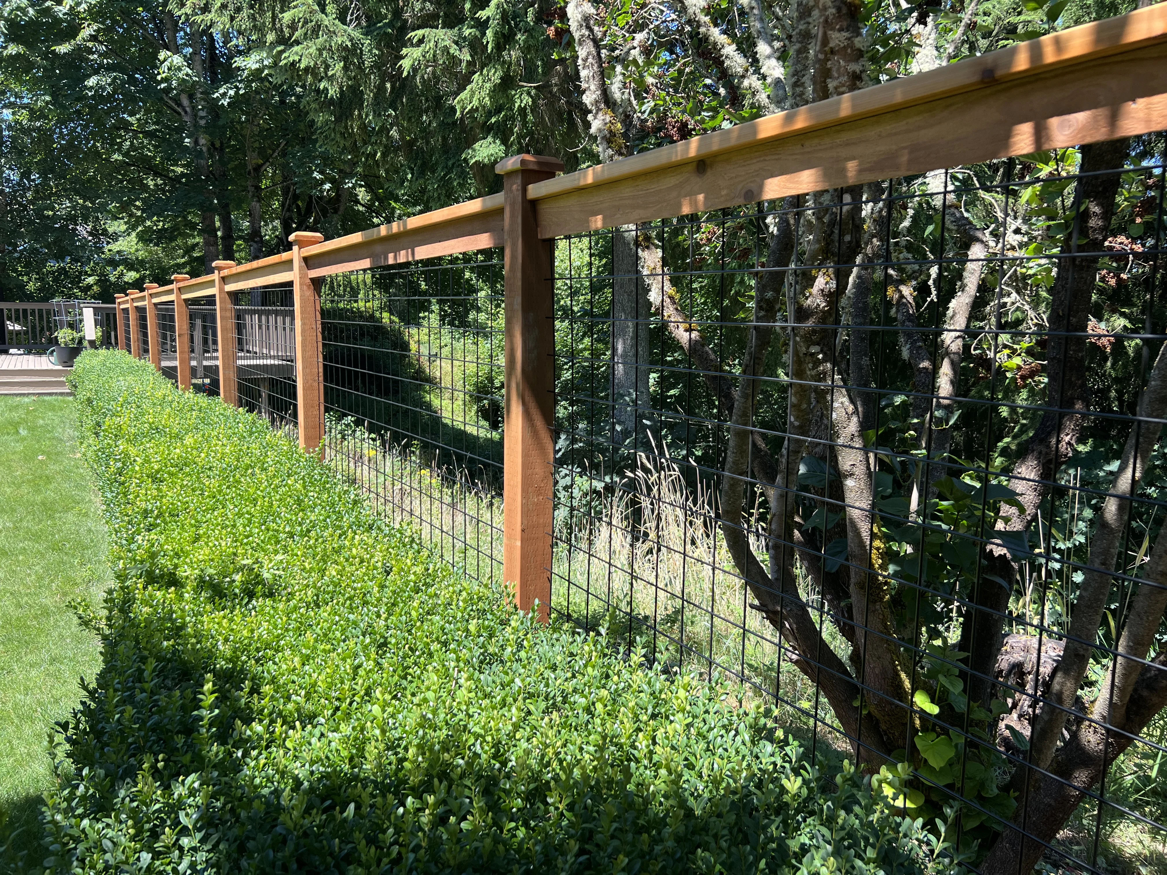 Black hogwire fence with picture frame style construction detail