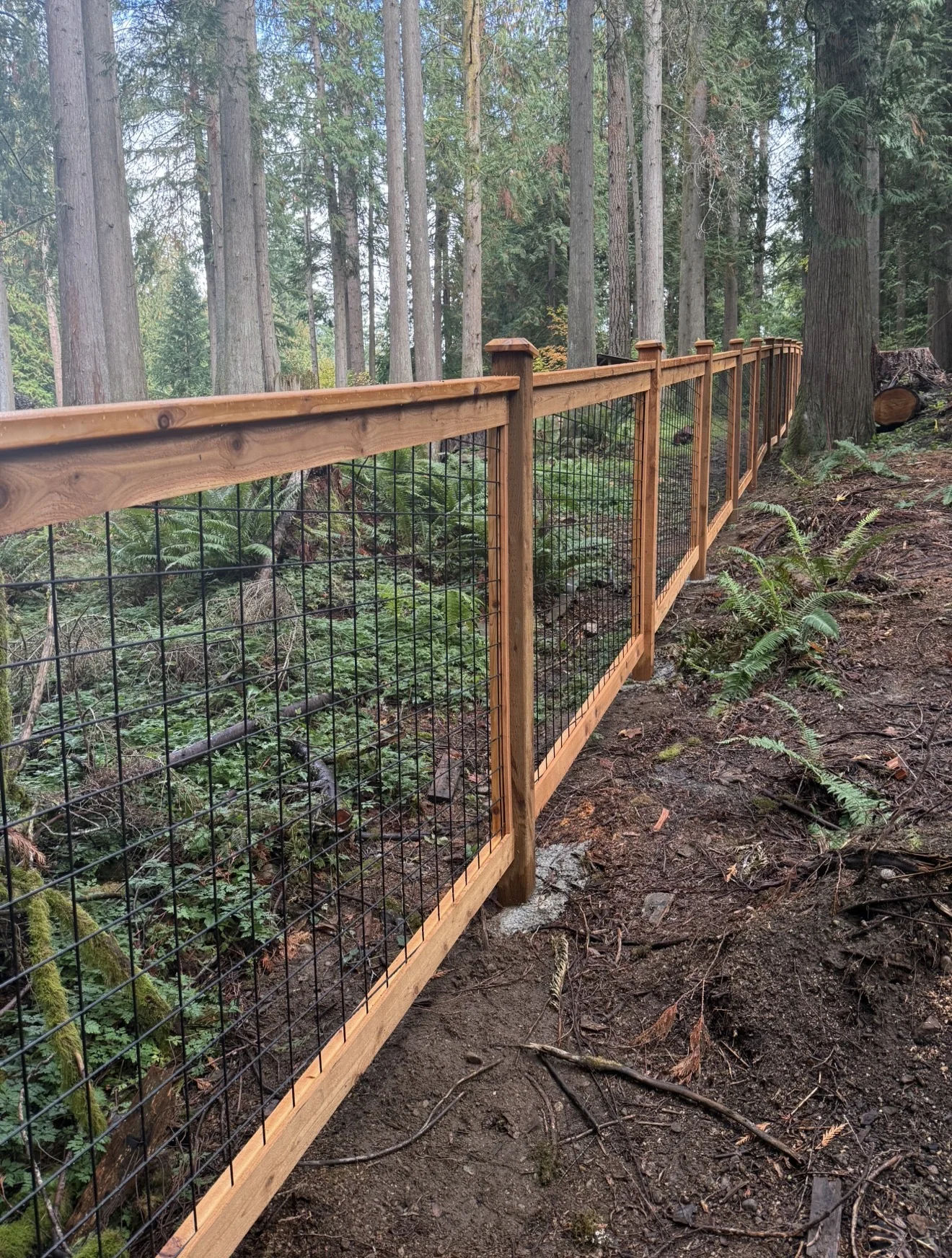 How fence financing works - real fence and 3D design