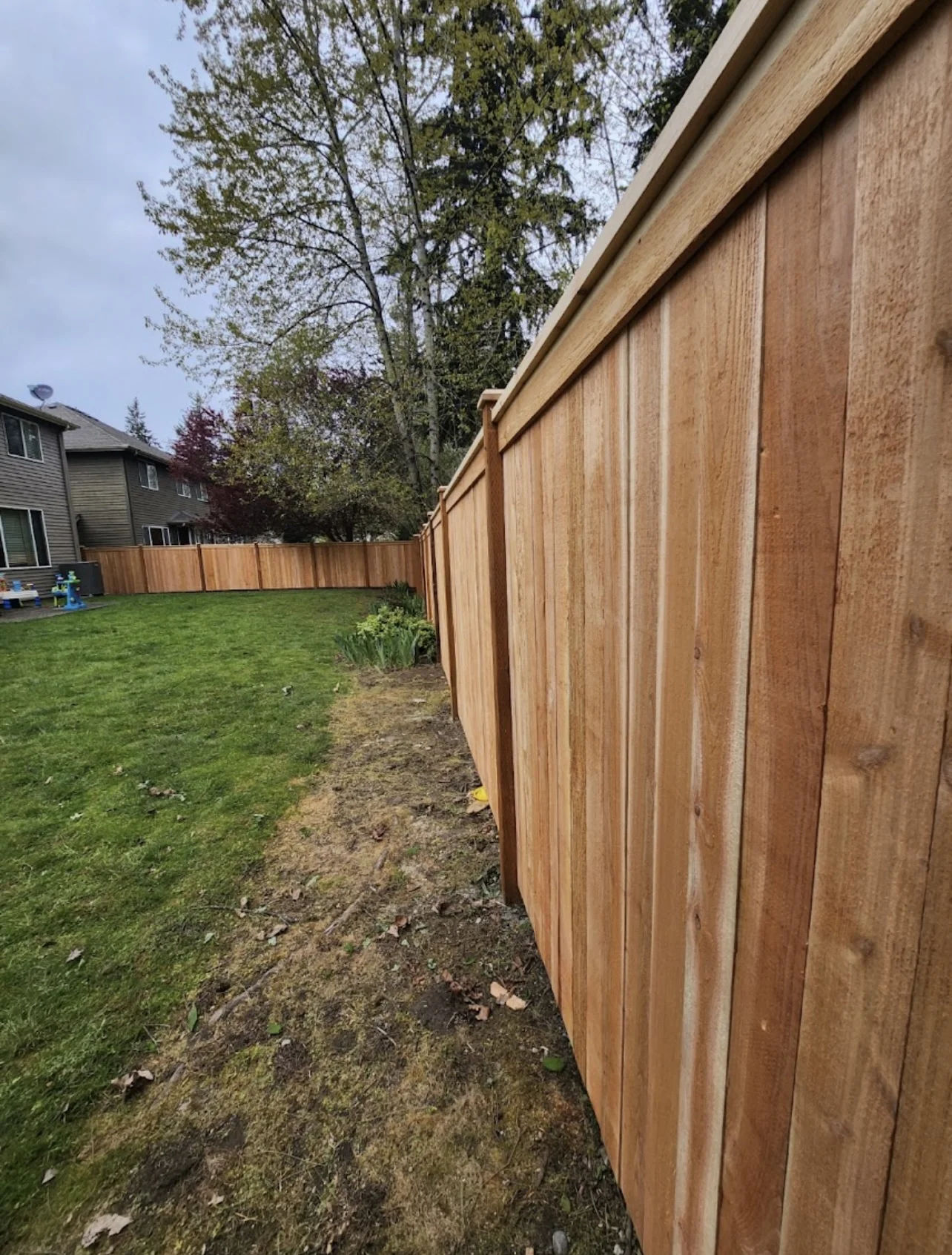 Modified full panel cedar fence run from an alternate vantage with backyard context by MyFence.com