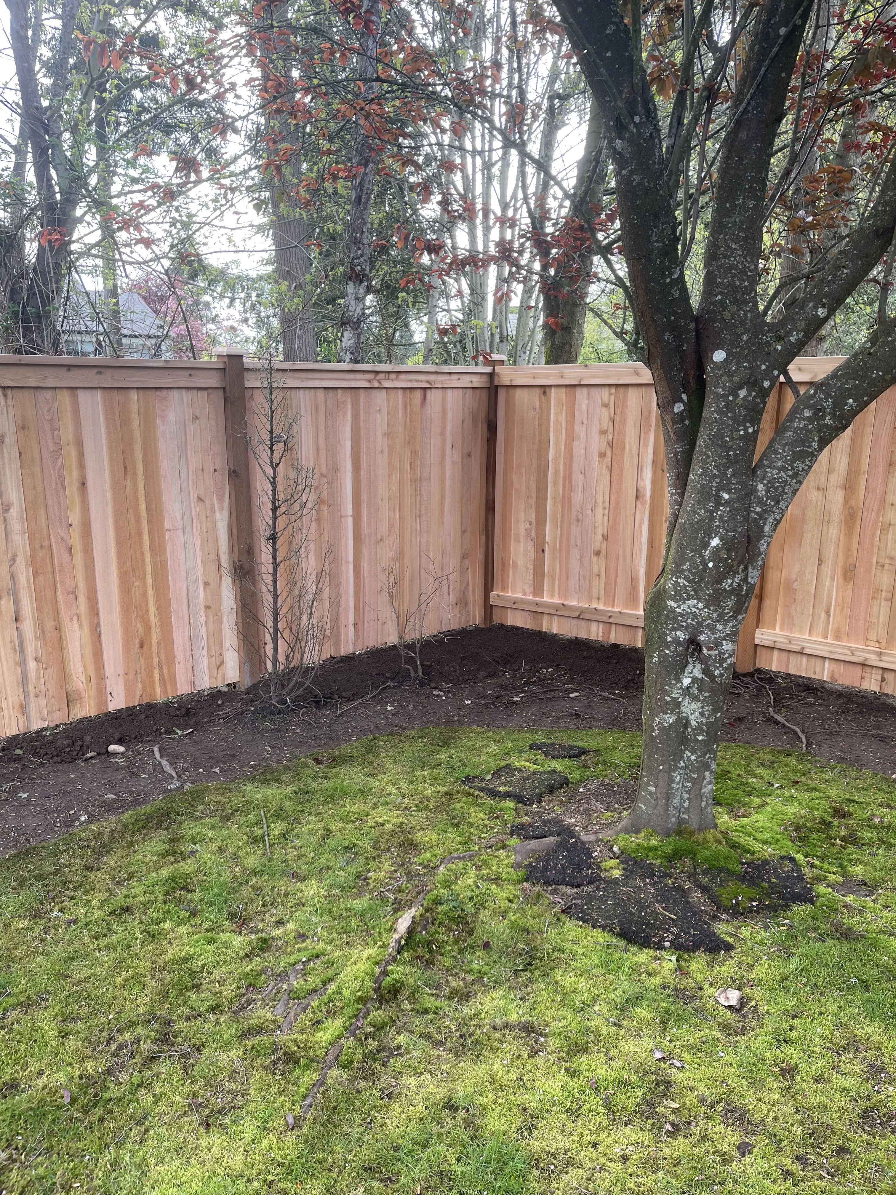 Modified full panel cedar fence corner showing the rail-side construction at the post by MyFence.com