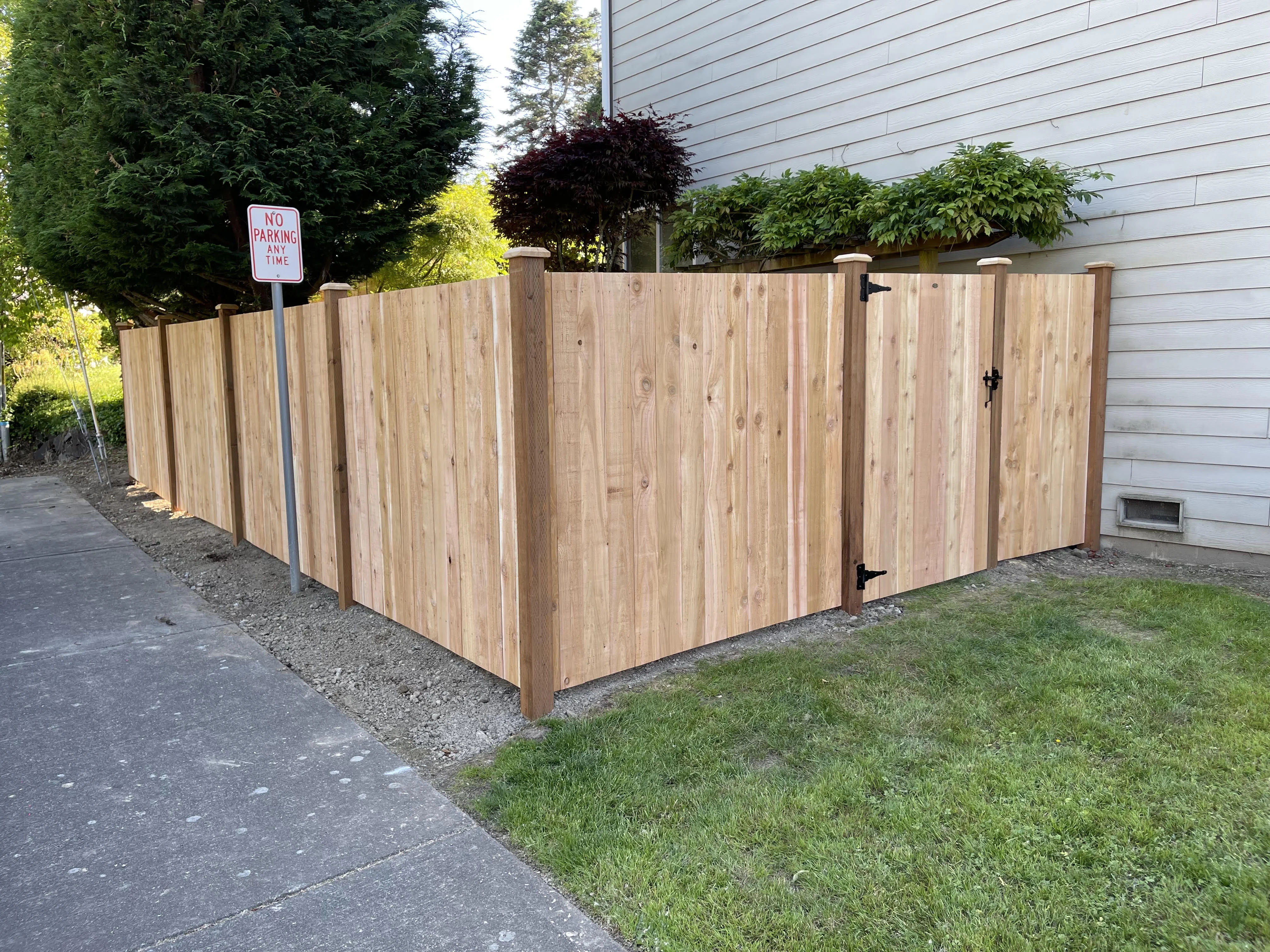 Fresh cedar solid board fence installation showing clean lines and budget-friendly construction