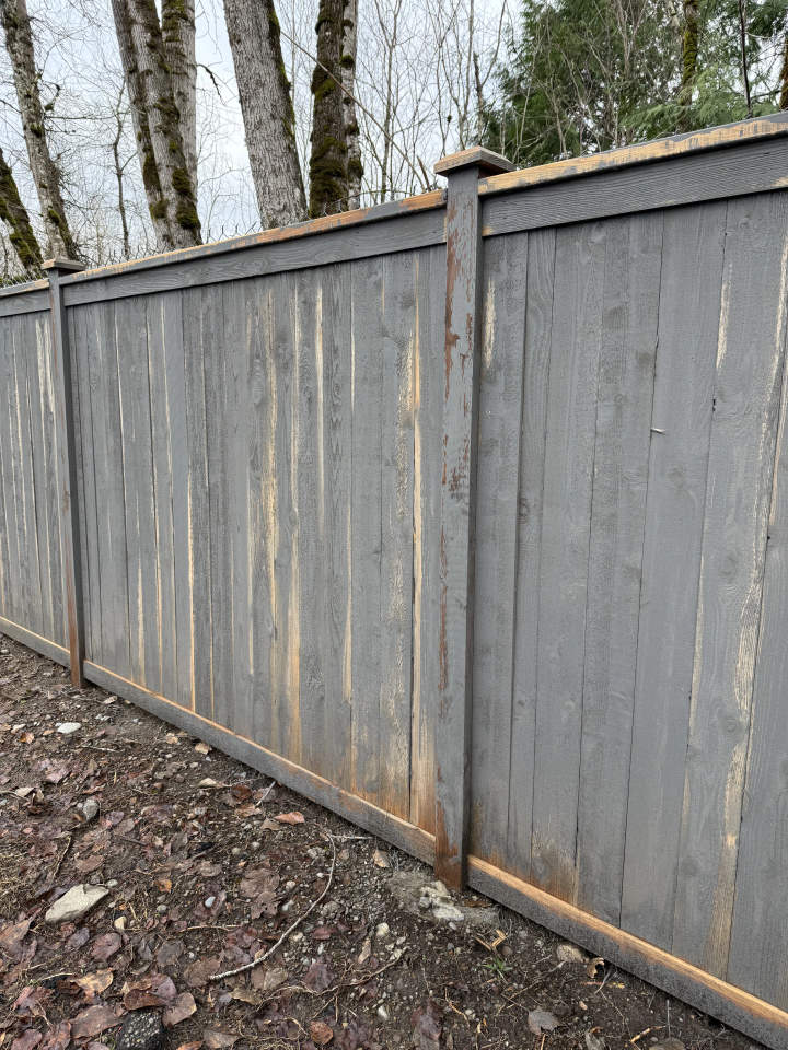 Fence boards showing stain failure and early wood rot