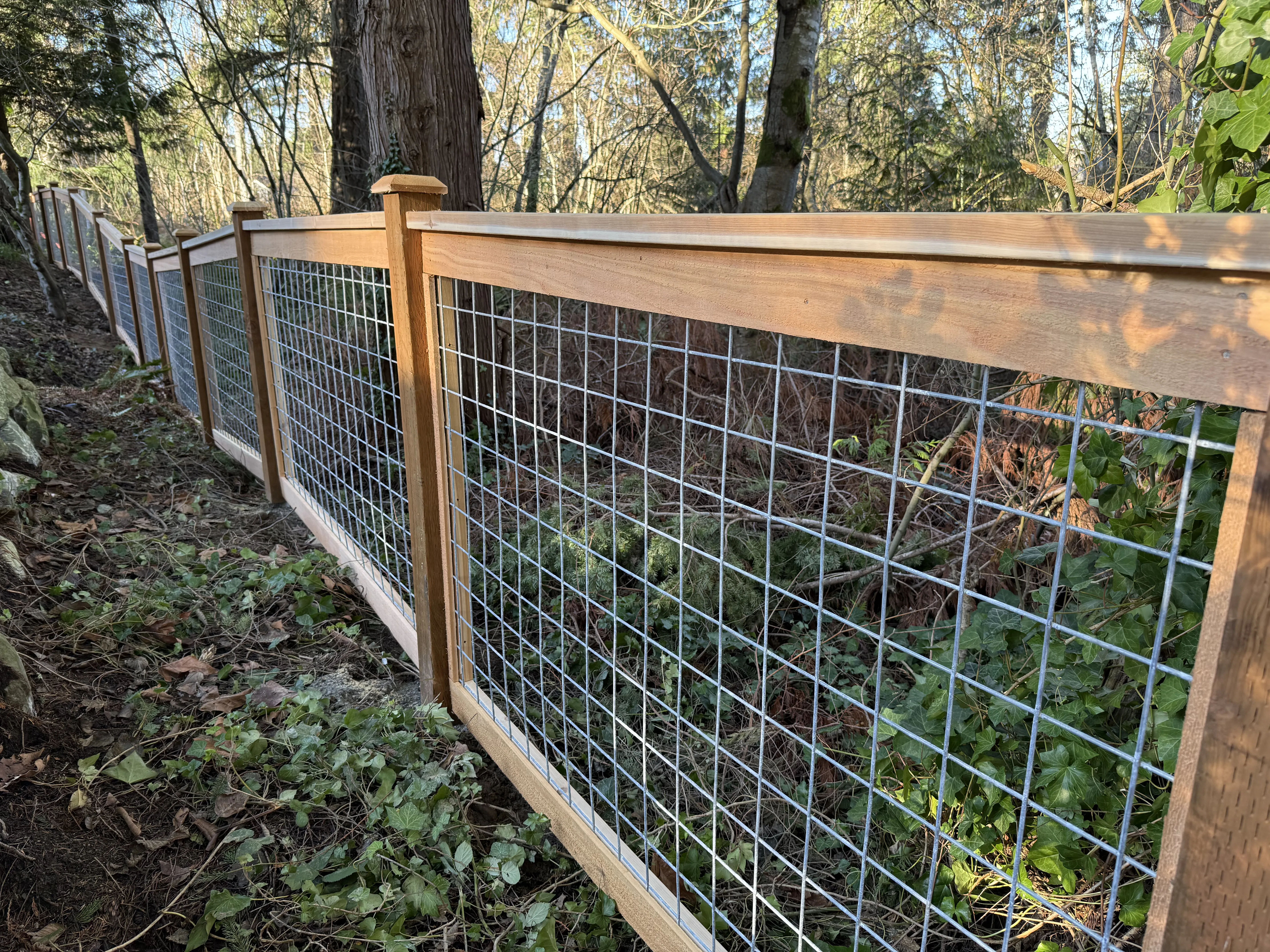 5' Galvanized Hogwire Fence fence in Seattle by MyFence.com