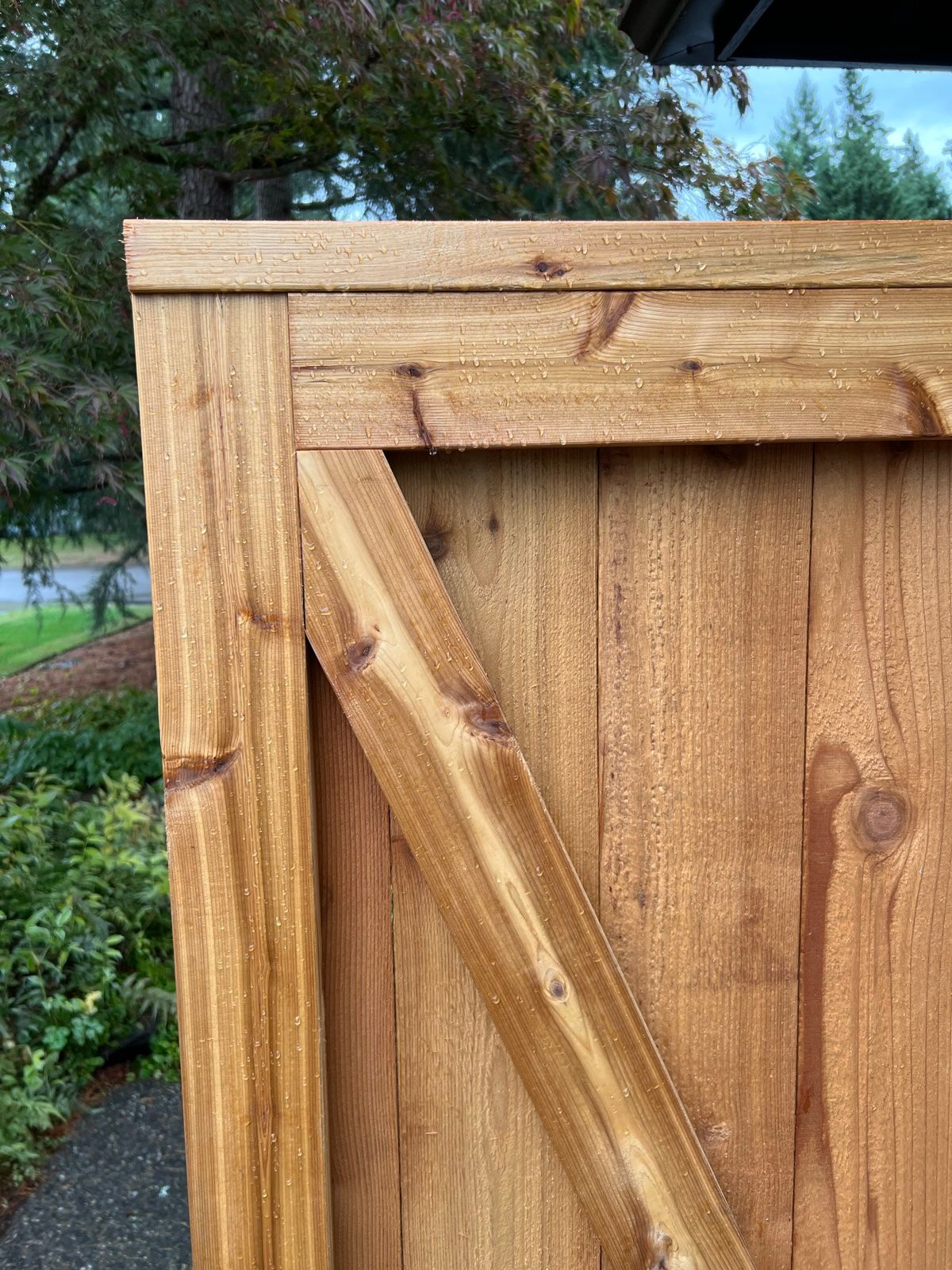 Cedar gate corner showing compression-fit diagonal brace angled down toward the hinge post, wet from PNW rain