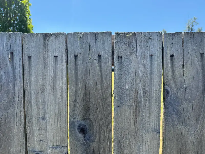 Close-up of galvanized fastener corrosion streaking down cedar pickets