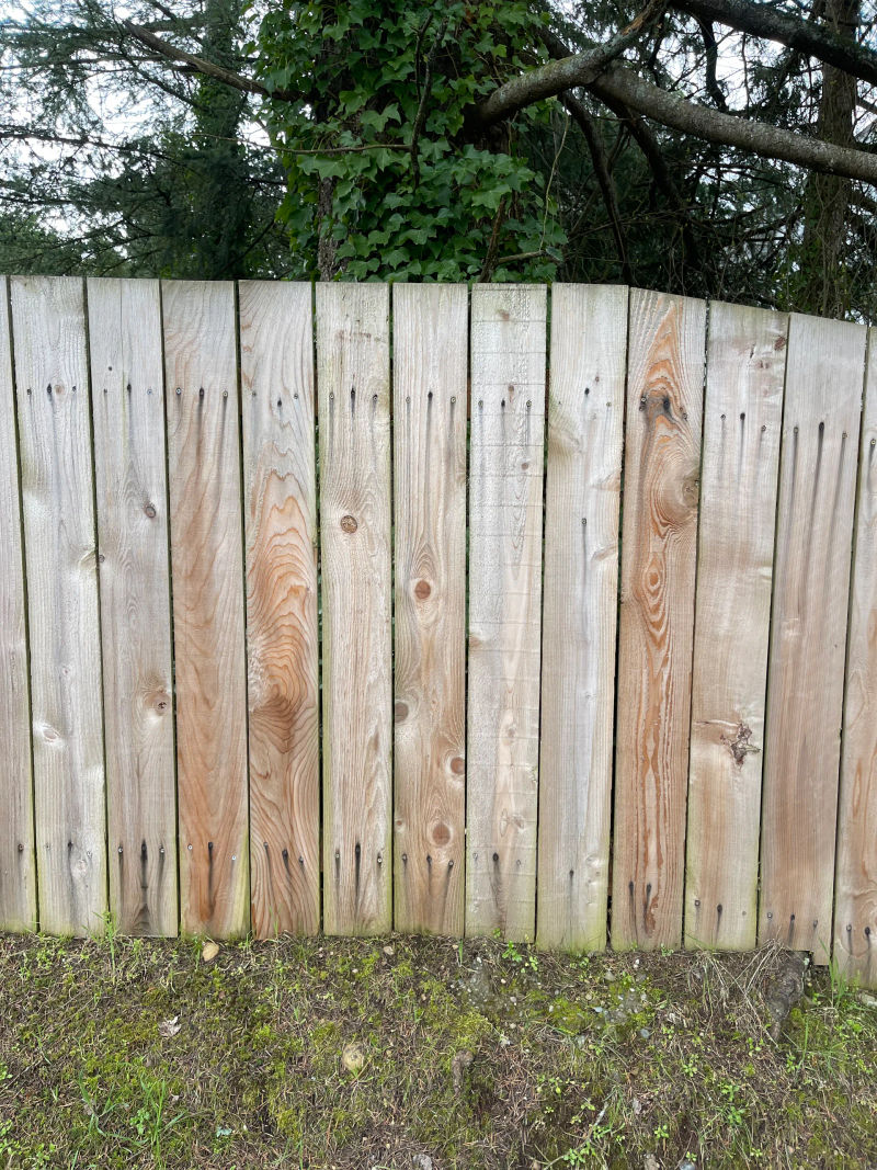 Black streaks on cedar fence from corroding galvanized fasteners