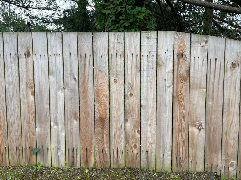 Cedar fence pickets stained by rusting galvanized fasteners