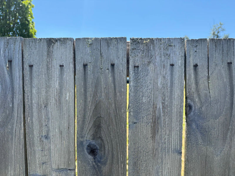 Cedar fence discoloration caused by galvanized hardware corrosion