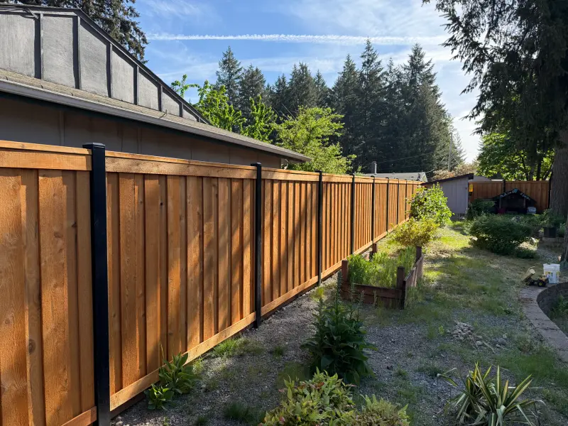 Cedar board-on-board privacy fence with black steel posts — the kind of finish a professional Seattle fence builder should deliver