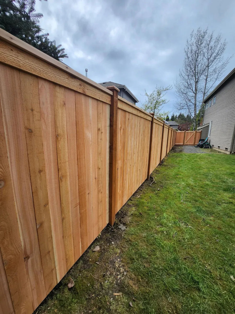 Cedar modified picture frame privacy fence along a side yard in Bothell, WA