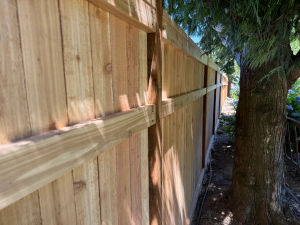 Timberlane 3 Rail Picture Frame Fence 2