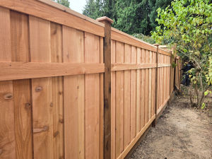 Kent Picture Frame Fence after 1