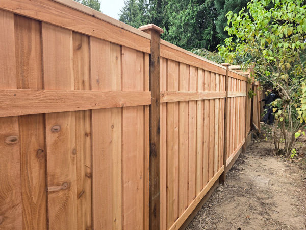 Cambridge Picture Frame Fence after 1