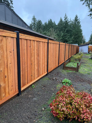 Kent Steel Fence Posts 10