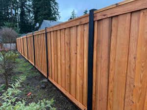 Kent Steel Fence Posts 8