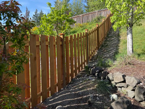 Maple Valley Shadow Box Fence 5