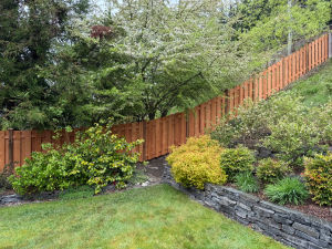 Maple Valley Shadow Box Fence 8