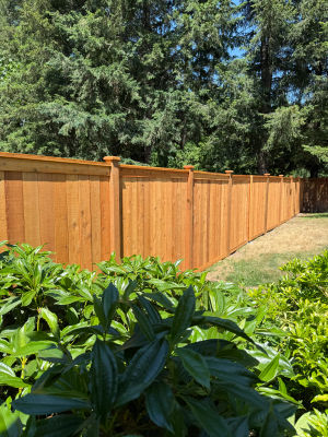 Ravensdale Picture Frame Fence 2