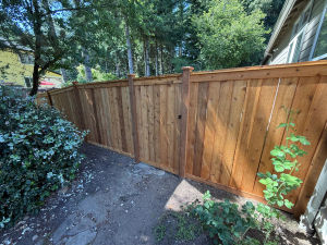 Ravensdale Picture Frame Fence 3