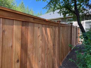 Ravensdale Picture Frame Fence 6