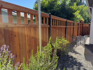 Kennydale Spindle Top Privacy Fence 10