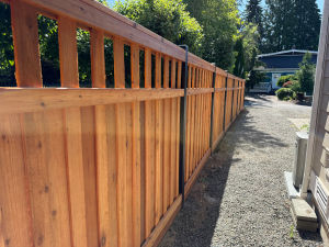 Kennydale Spindle Top Privacy Fence 3