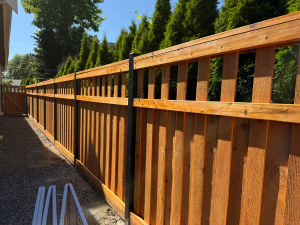 Kennydale Spindle Top Privacy Fence 6
