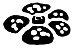 Base Jungle symbol