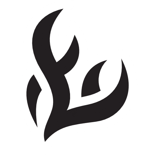 XY Flashfire symbol