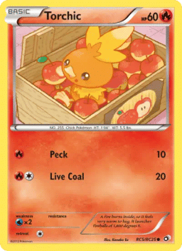 Torchic