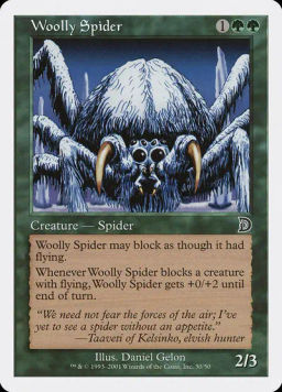 Woolly Spider