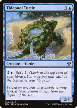 Tidepool Turtle