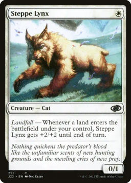 Steppe Lynx