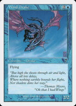Wind Drake