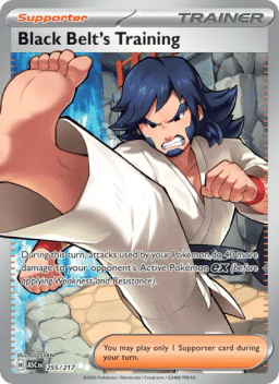 Black Belt's Training