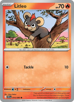 Litleo