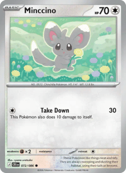 Minccino