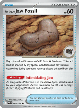 Antique Jaw Fossil
