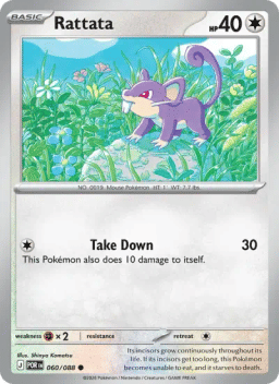 Rattata