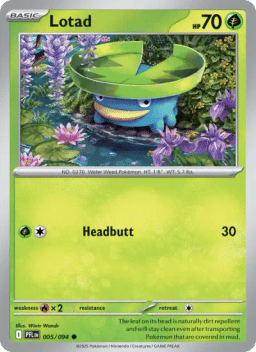 Lotad