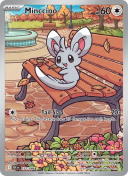Minccino
