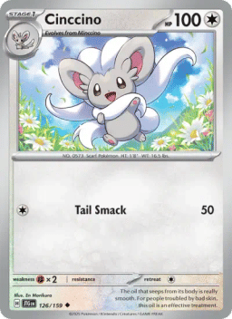 Cinccino