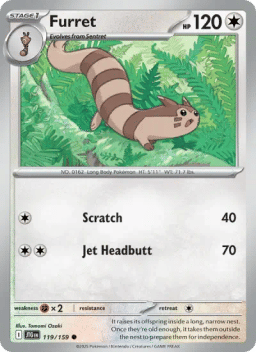 Furret