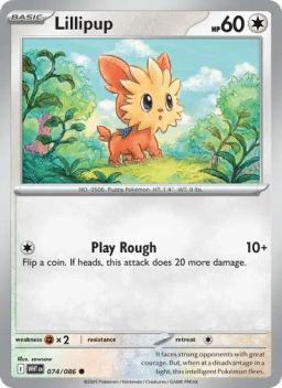 Lillipup
