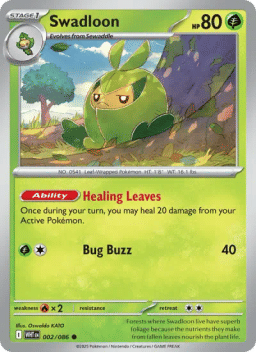 Swadloon